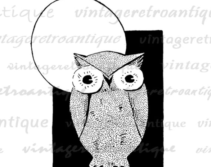 Vintage Owl Graphic Printable Image Owl Artwork Digital Bird Download Antique Clip Art Jpg Png Eps HQ 300dpi No.4169