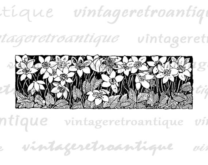 Printable Graphic Flower Banner Digital Design Element Image Download Vintage Clip Art Jpg Png Eps HQ 300dpi No.2280