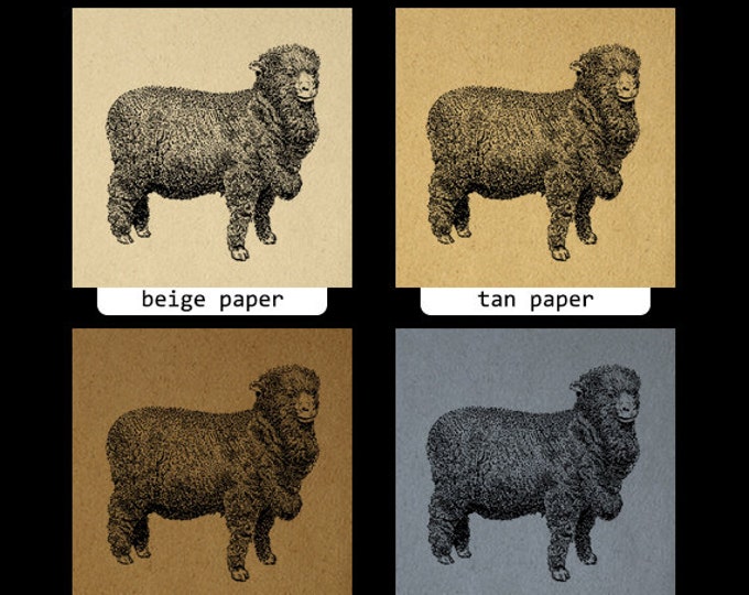 Digital Merino Sheep Image Printable Cute Lamb Animal Graphic Download Vintage Clip Art Jpg Png Eps HQ 300dpi No.3523