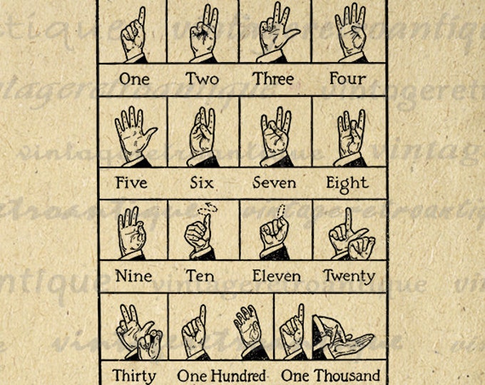 Digital Graphic Finger Numbers Printable Collage Sheet Download Image Vintage Clip Art Jpg Png Eps HQ 300dpi No.1063