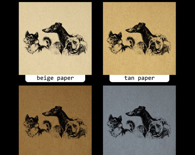 Three Dogs Graphic Digital Printable Antique Download Image Vintage Clip Art Jpg Png Eps HQ 300dpi No.150