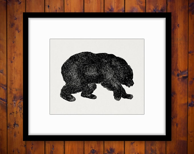 Digital Printable Grizzly Bear Graphic Download Image Illustration Vintage Clip Art Jpg Png Eps HQ 300dpi No.4082