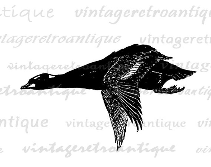 Flying Pheasant Image Graphic Printable Bird Download Antique Digital T-Shirts Jpg Png Eps HQ 300dpi No.140