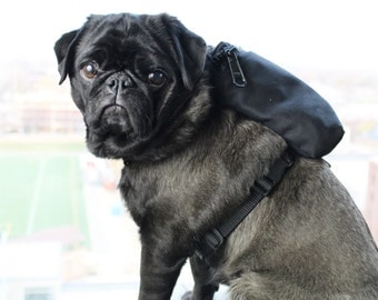 Dog Harness Backpack - Solid Black - Pug, Frenchie & More