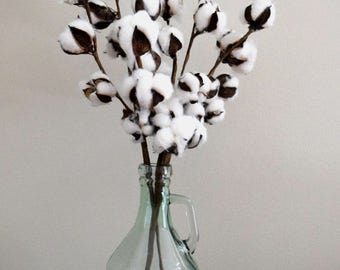 Glass Jug Cotton Stem Arrangement | Rustic Decor | Farmhouse Decor | Cotton Stems in Green Glass Jug | Second Anniversary Gift