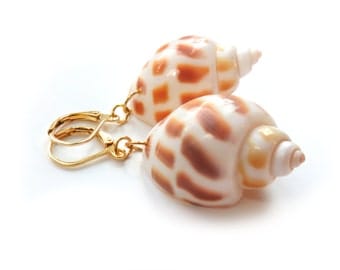 Genuine Shell Gold Earrings
