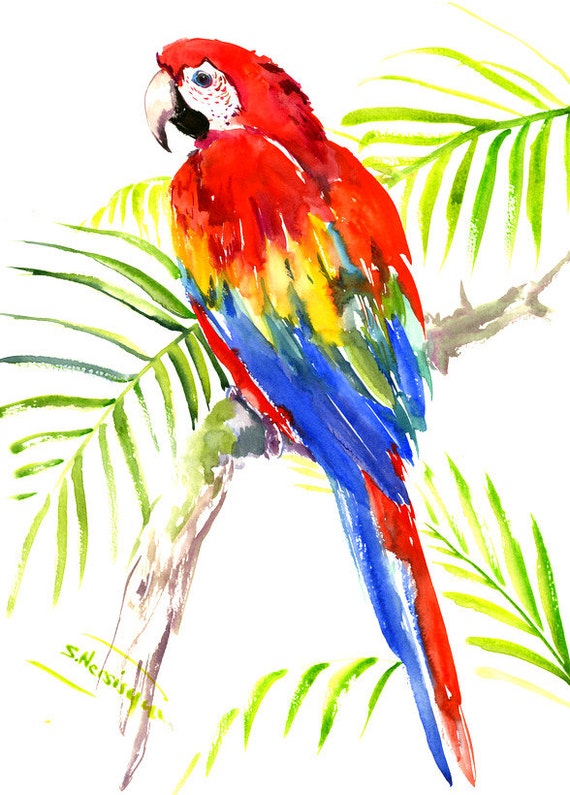 Scarlet Macaw Original watercolor painting bright tropical