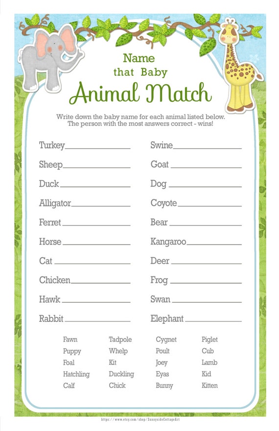 baby animal match answer key