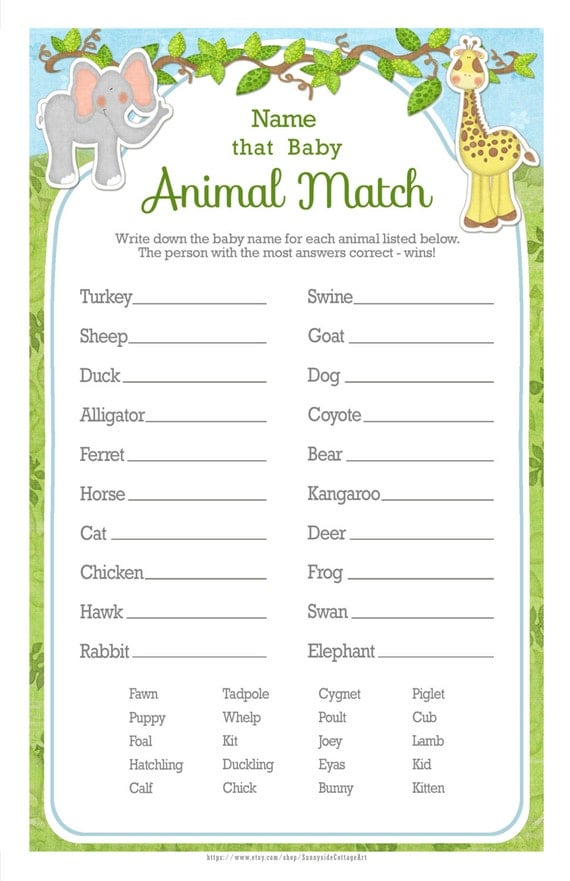 baby animal match answer key