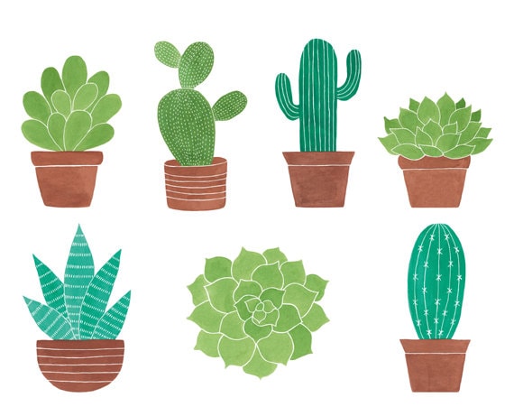 7 Watercolor Cliparts Cactus Clipart Succulent Clipart