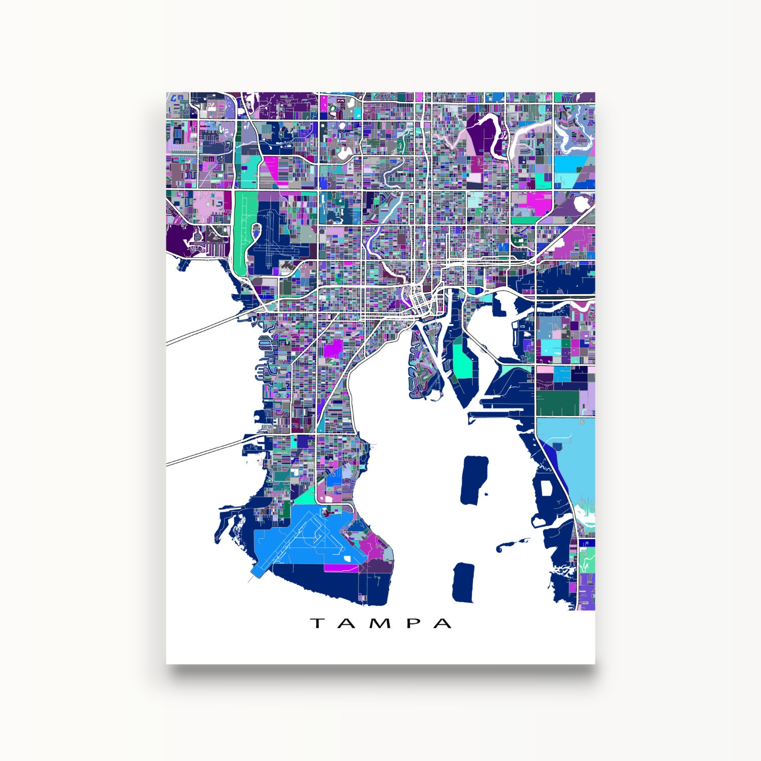 Street map Tampa Florida