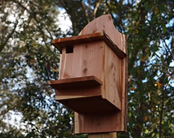 Flying Squirrel Nest Box