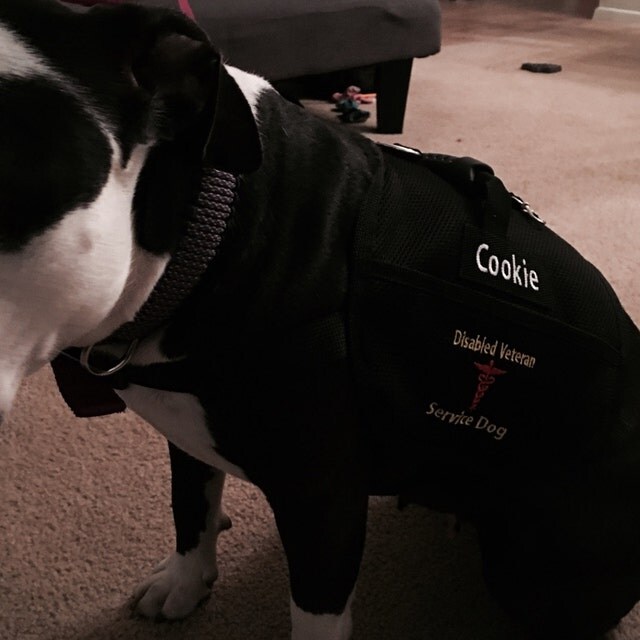 embroidered service dog vest