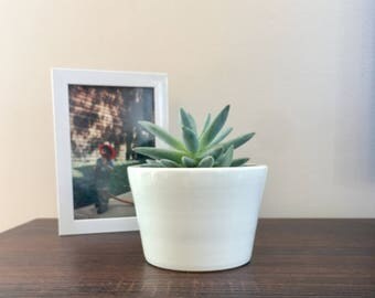 White Succulent Planter, Cactus Planter, Ceramic Planter, Succulent Pot, Succulent Planter, Indoor Gardening, Housewarming Gifts