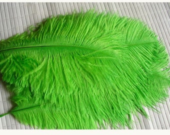 1 feather for various confections * feathers F 113