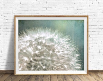 dandelion, photography, instant download printable art, large art, large wall art, botanical prints, nature wall art, nature prints -"Still"