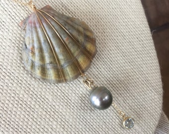 Large sunrise shell | Etsy