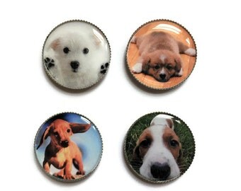 Funny dog magnets | Etsy