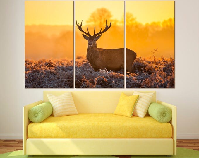Large nature deer photography wall art print set on canvas, deer wildlife photography wall decor, deer photo decor animal wall art print set
