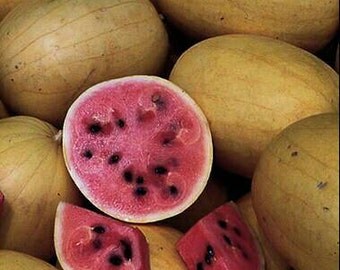 Square foot garden | Etsy