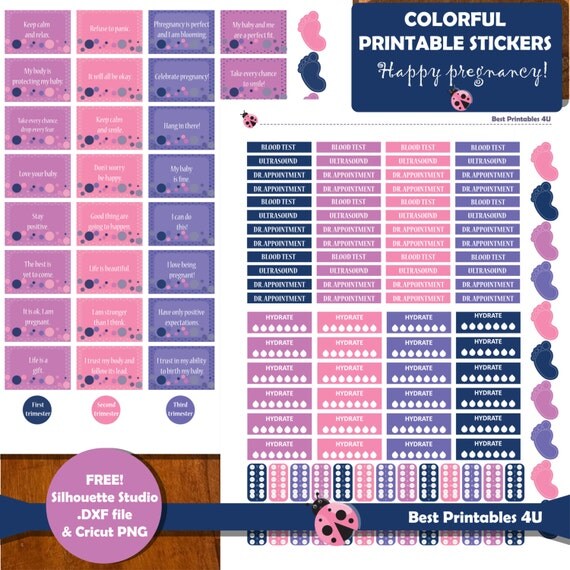 Pregnancy Planner Stickers Printable Milestones Planner