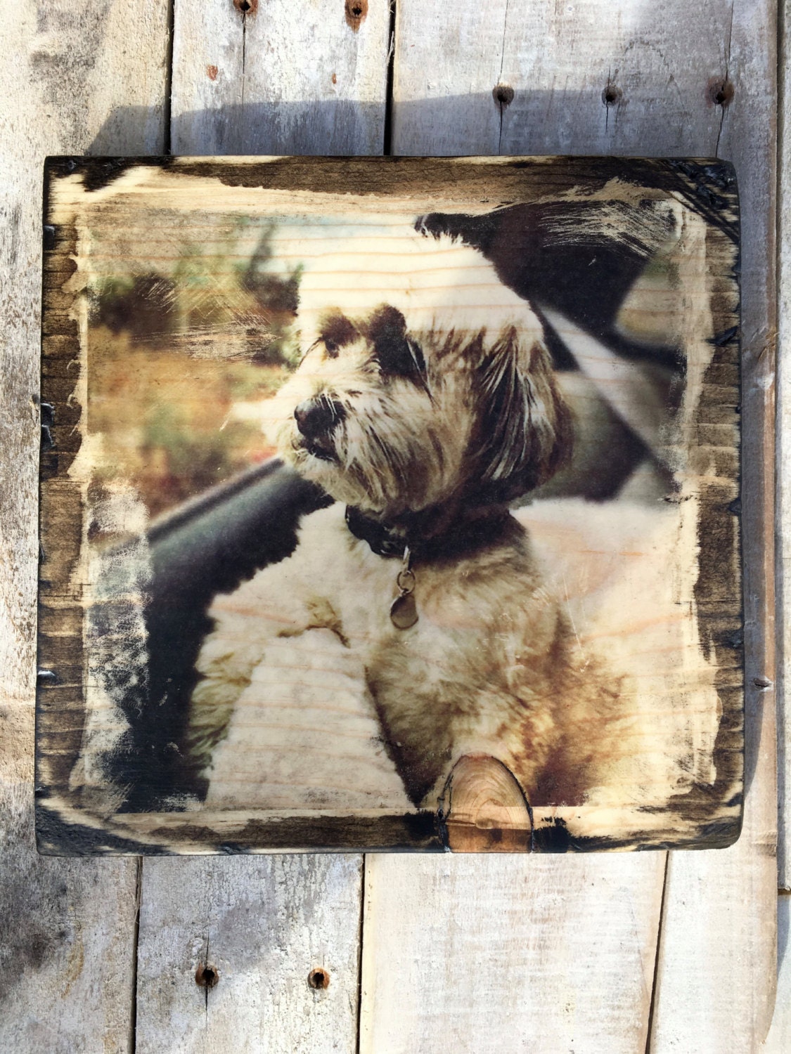 Custom Image Transfer to Wood Animal Personalized Photo Art