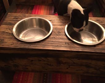 Double dog bowl stand