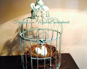 Vintage Aqua Bird cage with Spring Birds nest and Robin's eggs