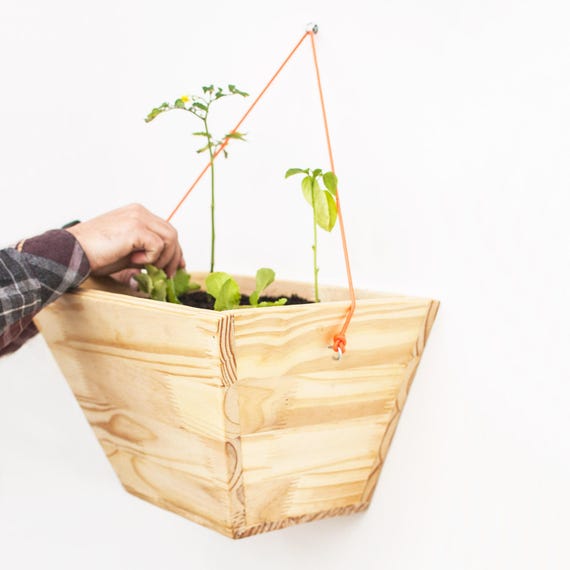 Indoor Garden Box wall hanging planter wall wooden indoor plant box wood Indoor Garden Box wall hanging planter wall wooden indoor plant box wood