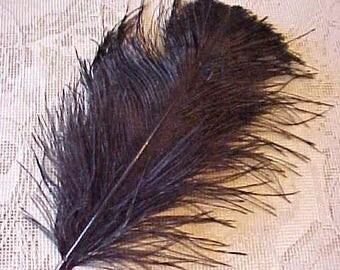 Nice Black Victorian Era Millinery Ostrich Feather