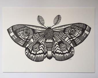 Moth - Wall Decor - Moth Art - Linocut Print - Animal Art - Nature - Lino print - Wall Art - Insect - Illustration - Art and collectibles