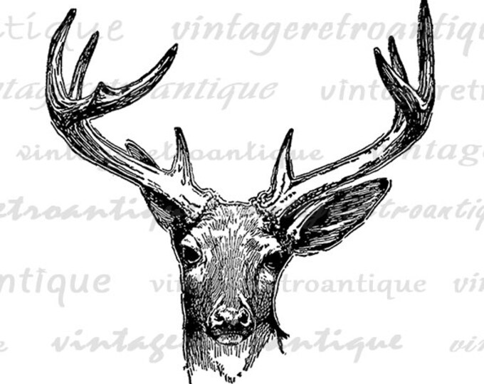 Printable Deer Artwork Antique Deer Graphic Download Deer Antlers Image Illustration Digital Vintage Clip Art Jpg Png Eps HQ 300dpi No.444