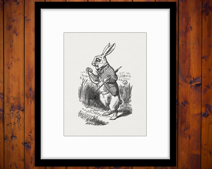 Printable White Rabbit Graphic Digital Alice in Wonderland Download Image Antique Vintage Clip Art Jpg Png Eps HQ 300dpi No.011