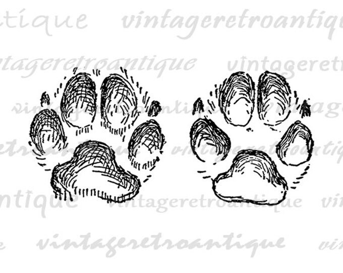 Paw Prints Digital Image Printable Dog Paw Graphic Illustration Download Jpg Png Eps HQ 300dpi No.984