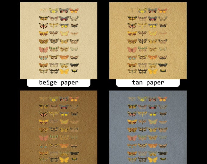 Printable Butterflies and Moths Collage Sheet Image Graphic Download Color Illustrations Digital Antique Clip Art HQ 300dpi No.3874