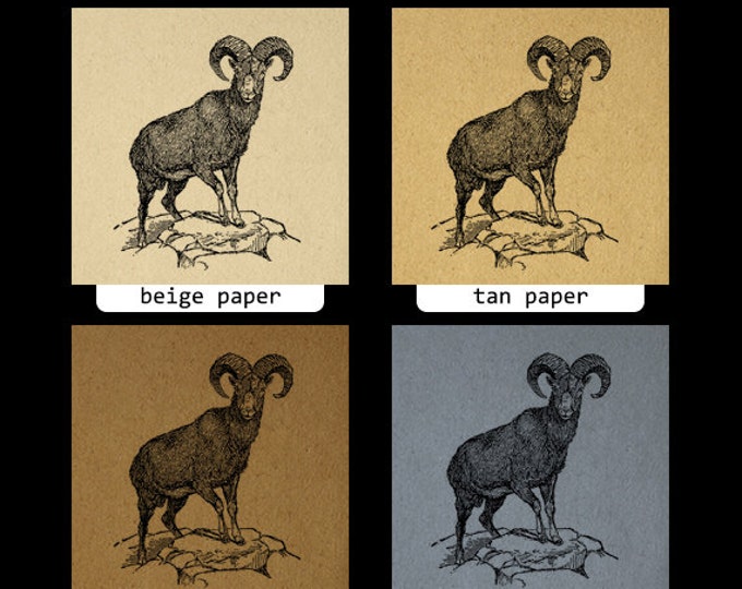 Digital Graphic Bighorn Sheep Ram Printable Illustration Image Download Vintage Clip Art Jpg Png Eps HQ 300dpi No.3207