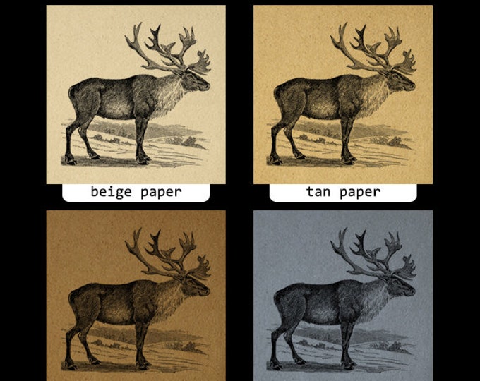 Digital Graphic Caribou Download Image Printable Artwork Vintage Clip Art Jpg Png Eps HQ 300dpi No.2204