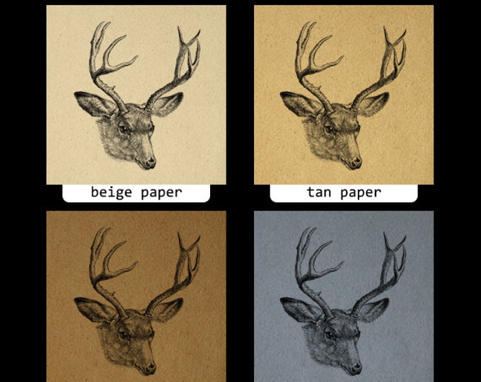 Digital Deer Printable Download Antlers Illustration Graphic Image Antique Clip Art Jpg Png Eps HQ 300dpi No.3126