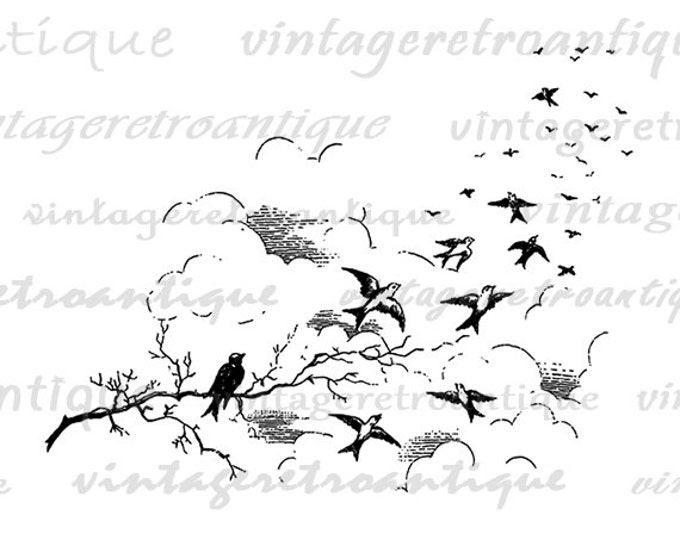 Flying Birds Digital Image Download Collage Sheet Bird Artwork Antique Printable Graphic Jpg Png Eps HQ 300dpi No.3762