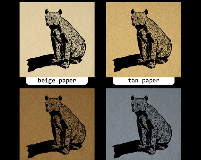 Antique Bear Digital Graphic Image Animal Download Printable Vintage Clip Art Jpg Png Eps HQ 300dpi No.434