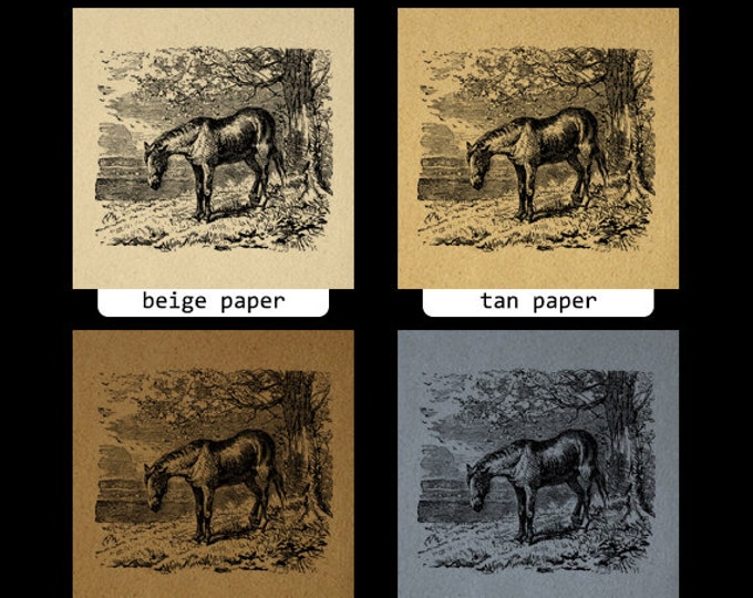 Antique Horse Digital Image Download Printable Graphic Vintage Clip Art Jpg Png Eps HQ No.2306