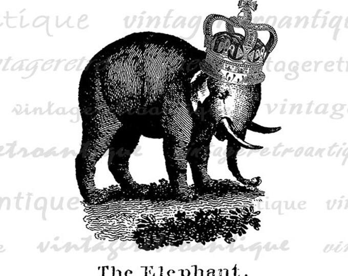 Elephant with Crown Digital Printable Image Antique Illustration Download Graphic Vintage Clip Art Jpg Png Eps HQ 300dpi No.1080