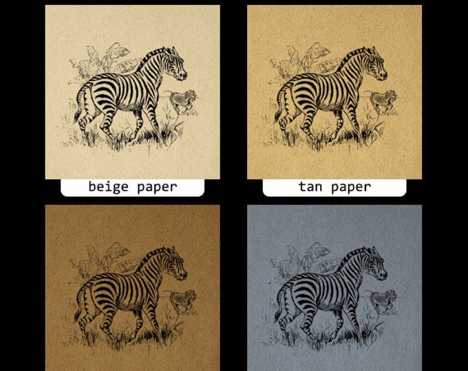 Antique Zebra Image Printable Graphic Digital Download Vintage Clip Art for Transfers Printing etc Jpg Png Eps HQ 300dpi No.691