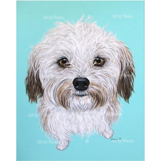 Havanese Havanese Painting Havanese Art Havanese Dog