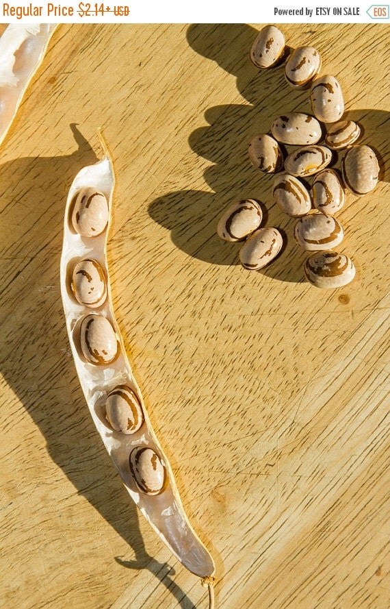 SALE Eye of the Goat Ojo de Cabra Bean Seeds by CaribbeanGarden