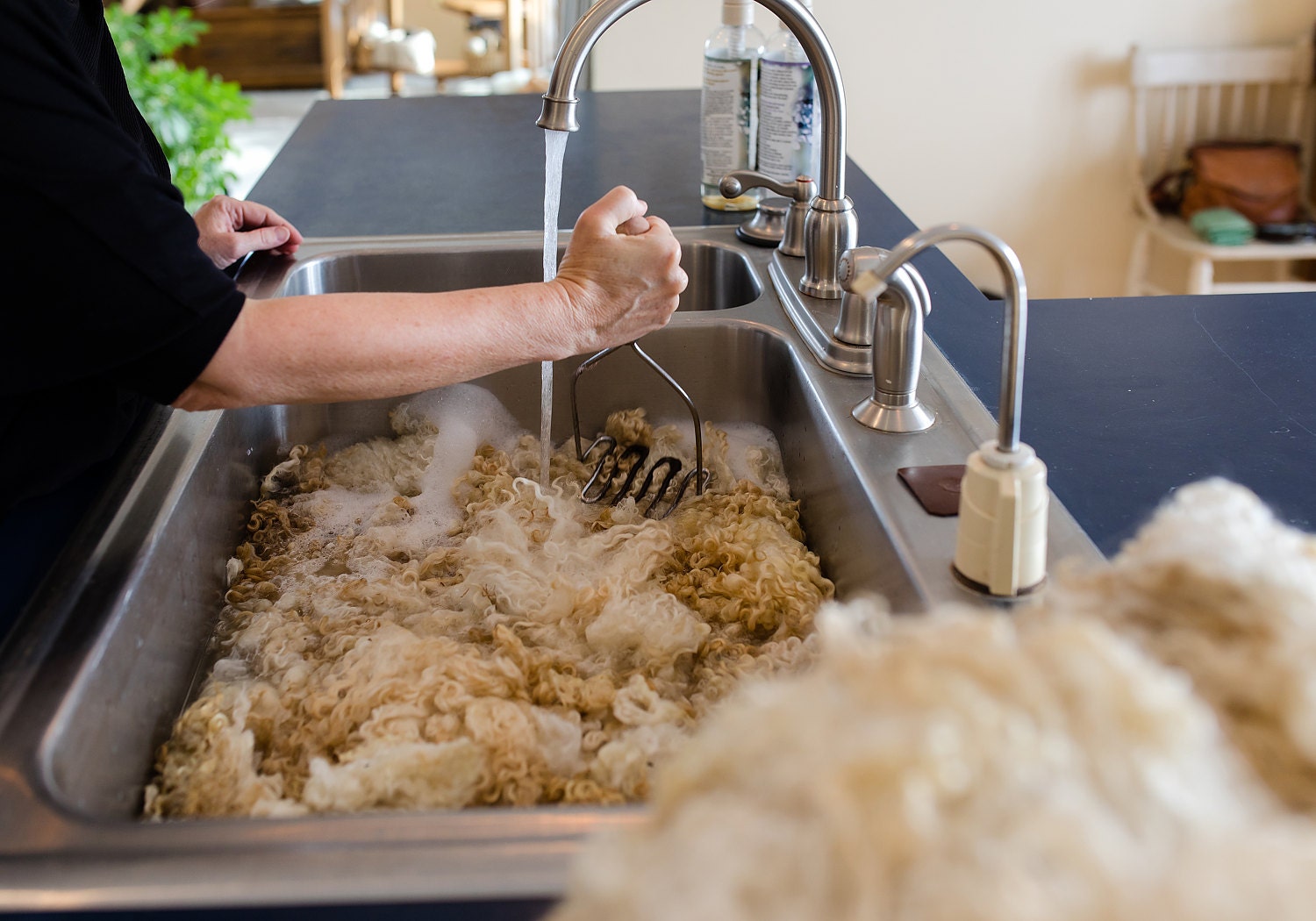 Cleaning the sheep fleece