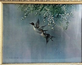 Lovely Vernon Ward 1950’s /1960’s Print of Flying Ducks