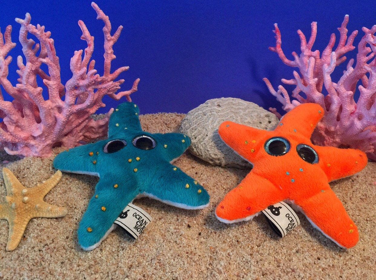 starfish plush toy