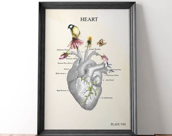 Anatomical heart - gift for nurse - anatomy art - anatomy - medical art - anatomical heart art - abstract anatomy art - anatomical art