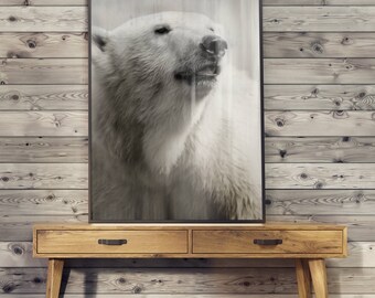 POSTER bears FLEECE - print picture without frame